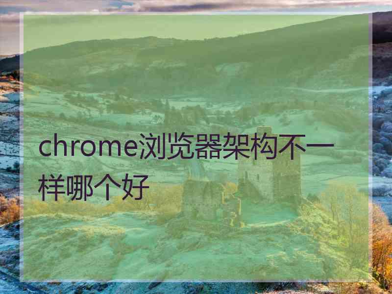 chrome浏览器架构不一样哪个好