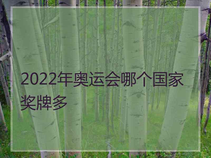 2022年奥运会哪个国家奖牌多