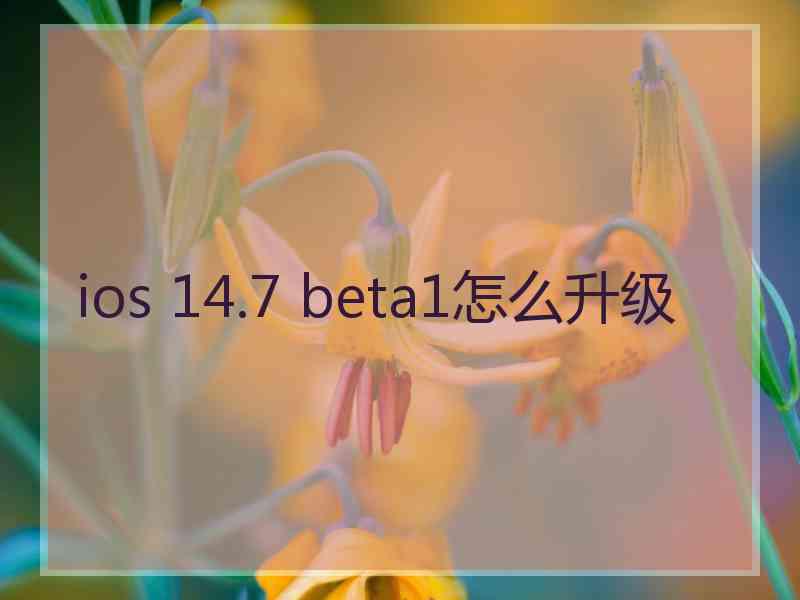 ios 14.7 beta1怎么升级
