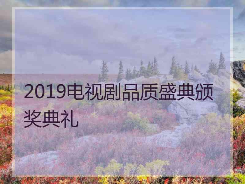 2019电视剧品质盛典颁奖典礼