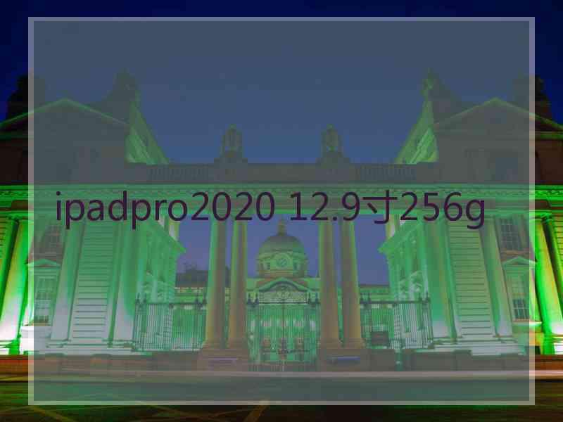 ipadpro2020 12.9寸256g