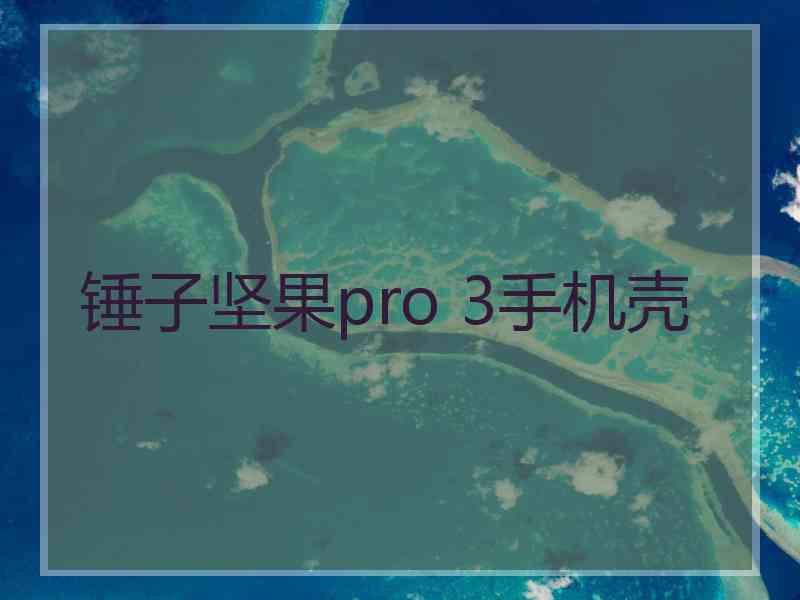 锤子坚果pro 3手机壳