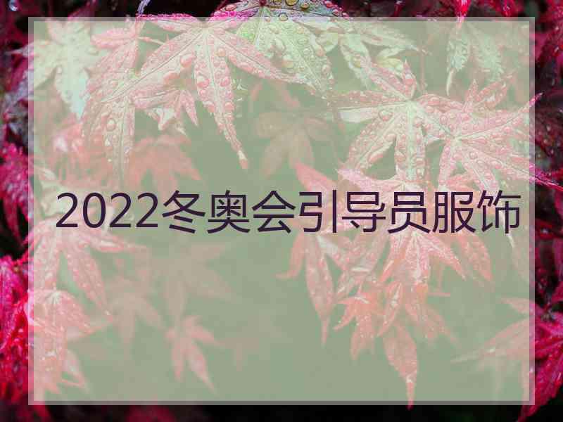 2022冬奥会引导员服饰