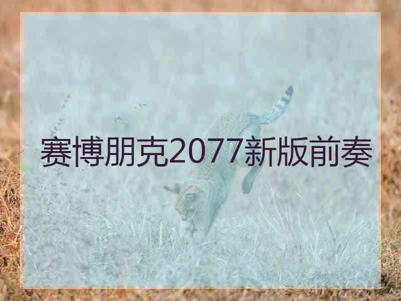 赛博朋克2077新版前奏