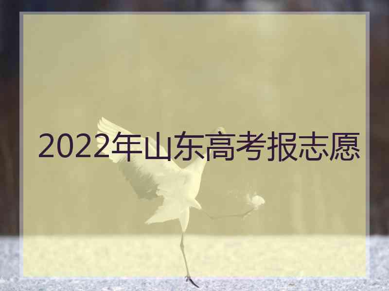 2022年山东高考报志愿
