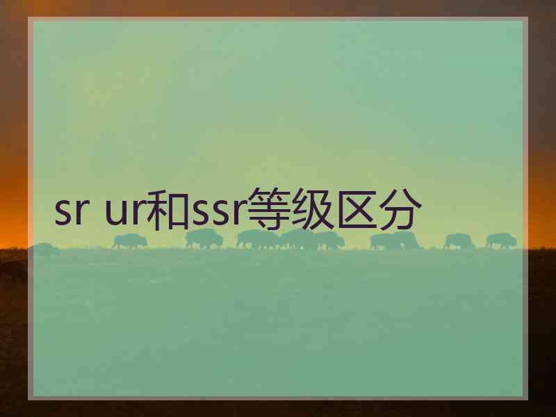 sr ur和ssr等级区分
