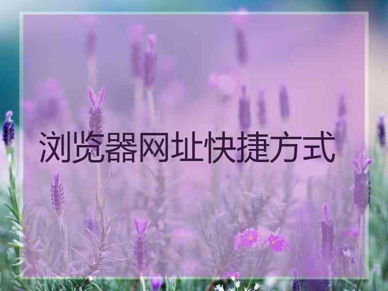 浏览器网址快捷方式