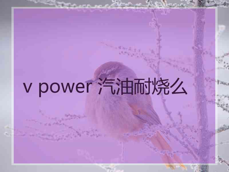 v power 汽油耐烧么