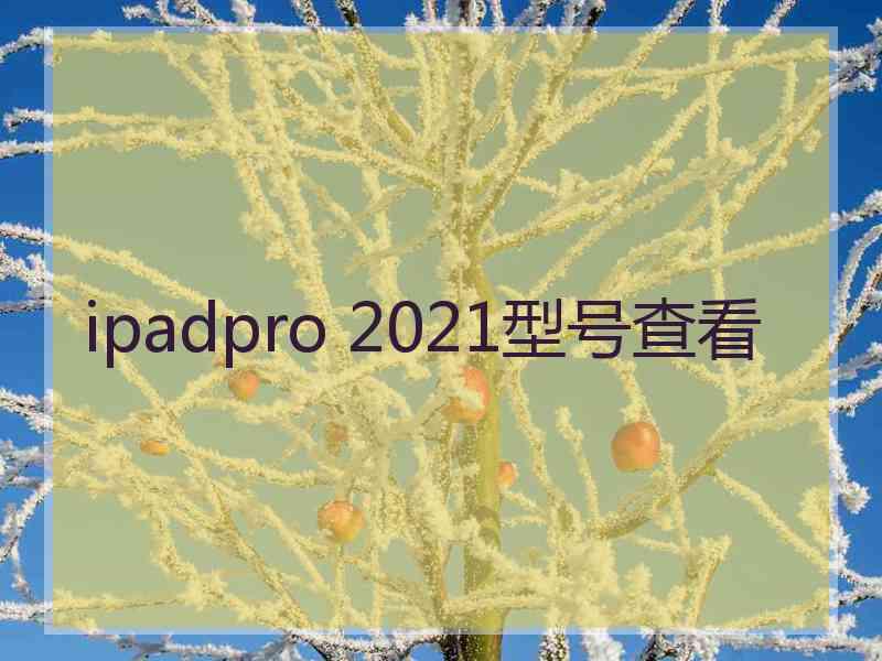 ipadpro 2021型号查看