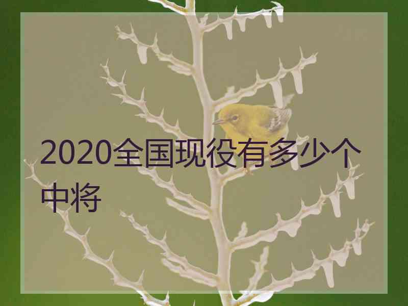 2020全国现役有多少个中将