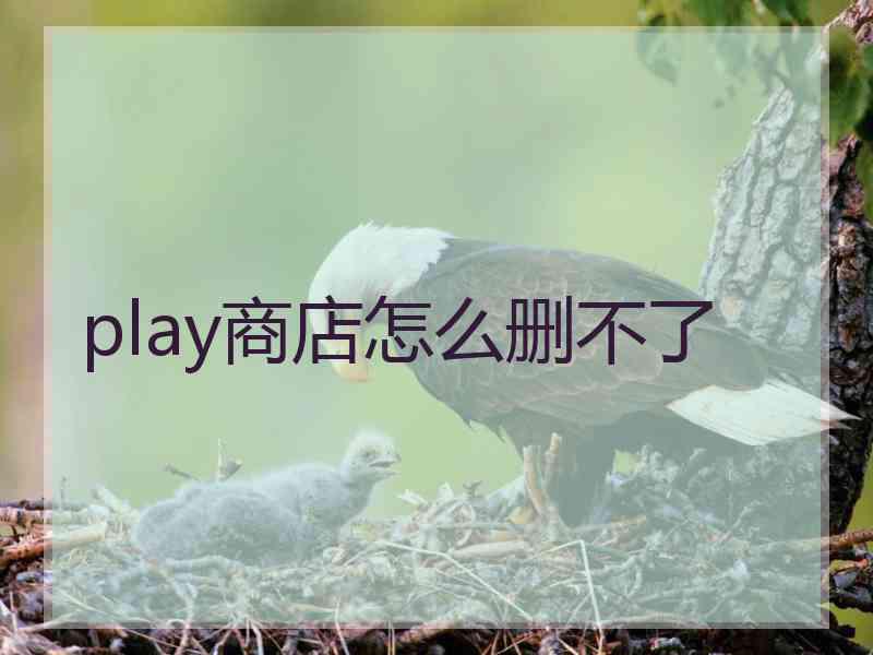 play商店怎么删不了