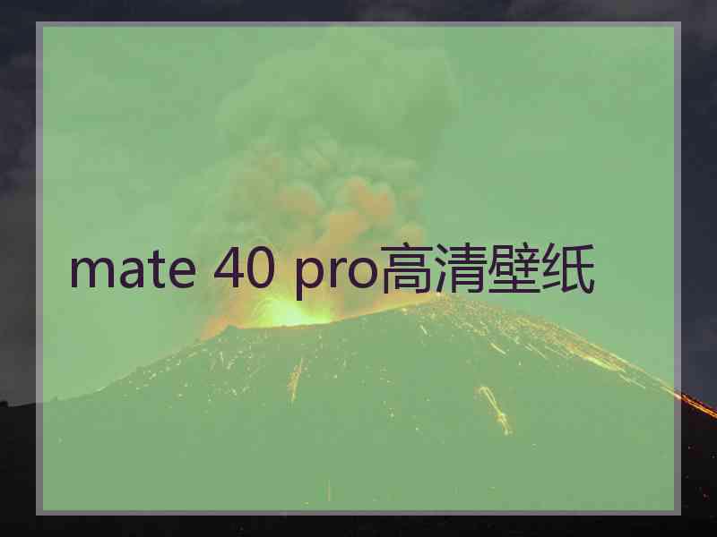 mate 40 pro高清壁纸