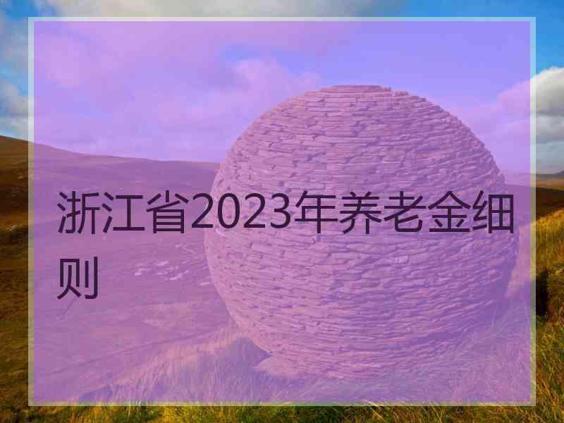 浙江省2023年养老金细则