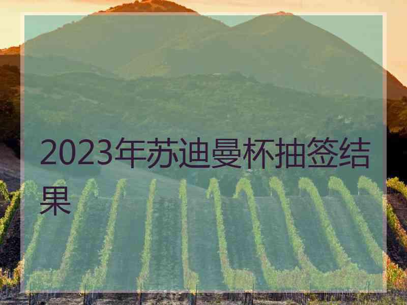 2023年苏迪曼杯抽签结果