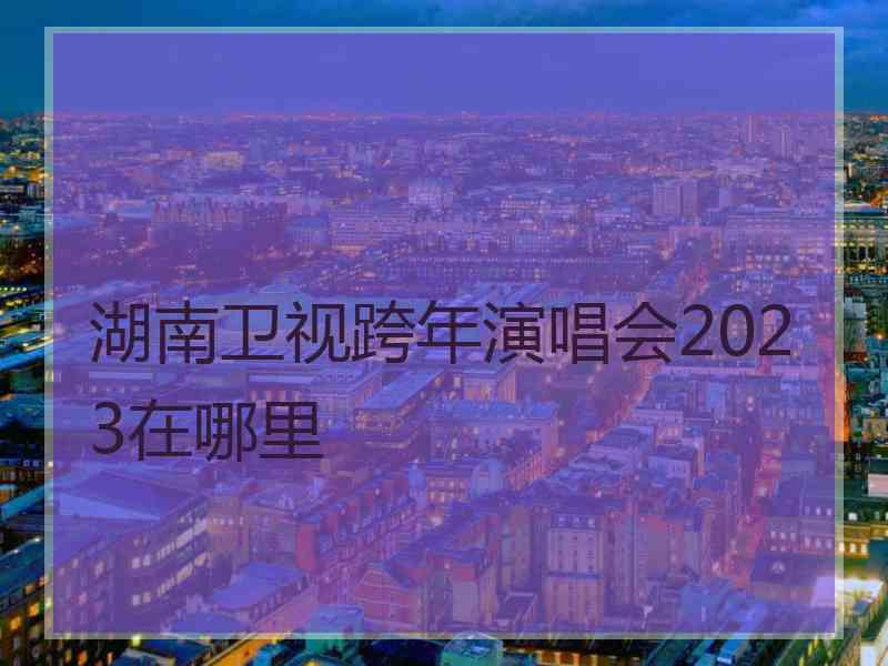 湖南卫视跨年演唱会2023在哪里