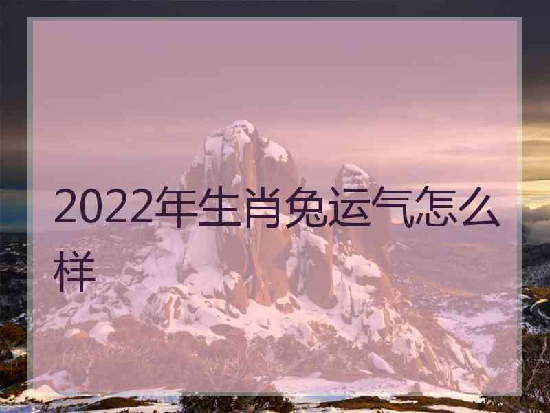 2022年生肖兔运气怎么样