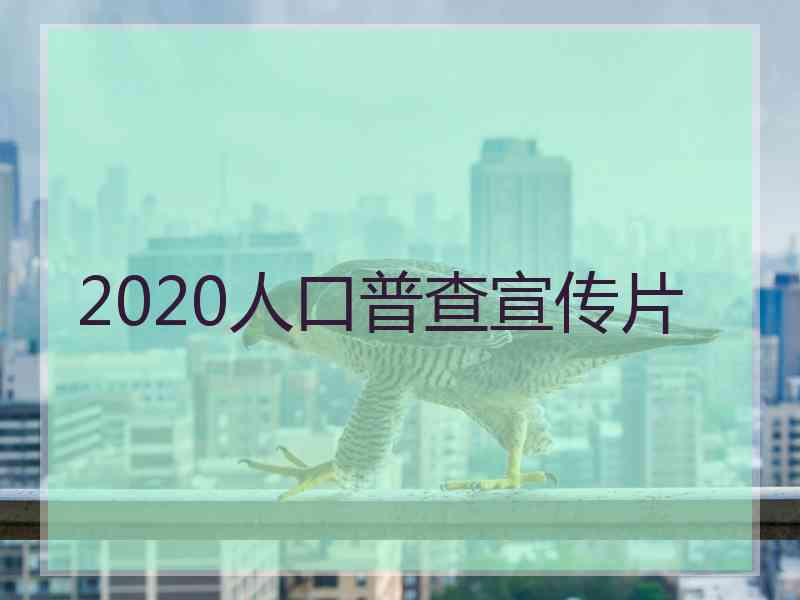 2020人口普查宣传片