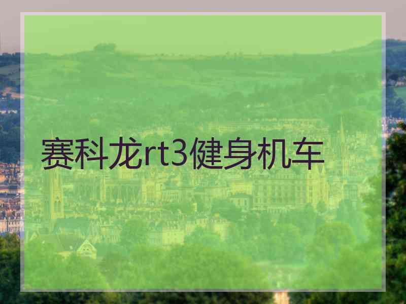 赛科龙rt3健身机车