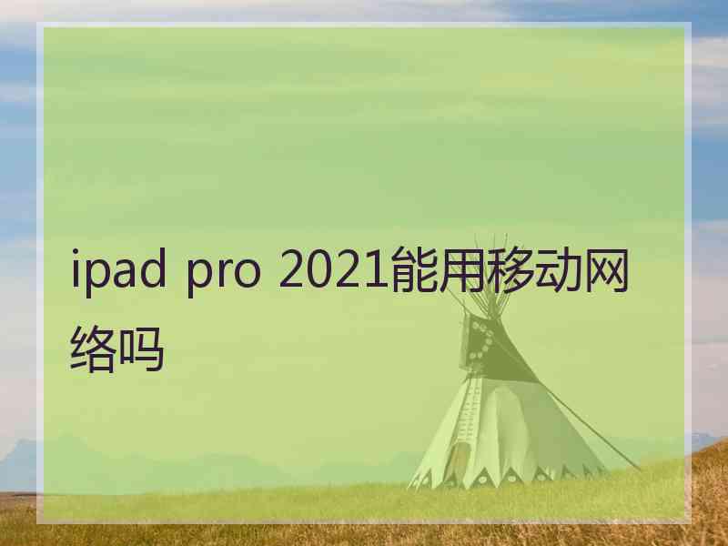 ipad pro 2021能用移动网络吗