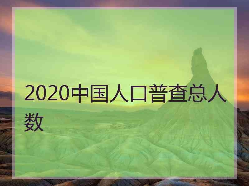 2020中国人口普查总人数
