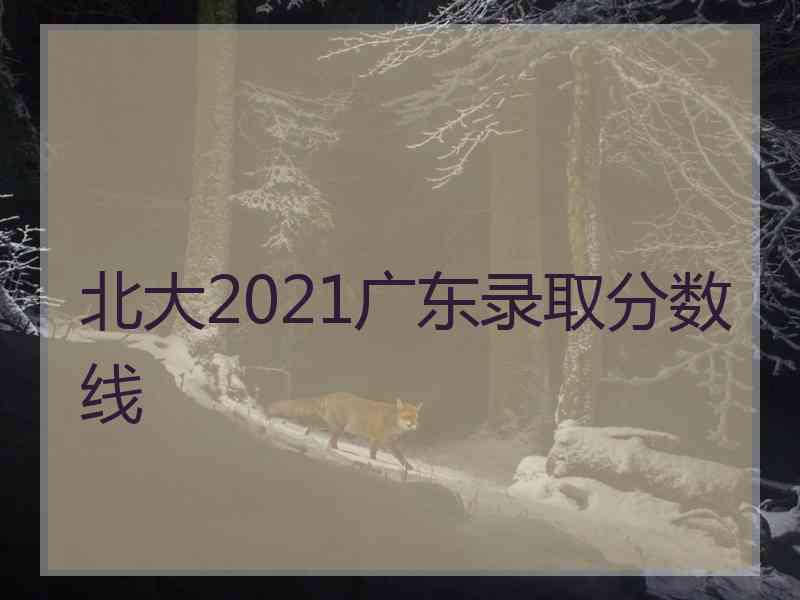 北大2021广东录取分数线