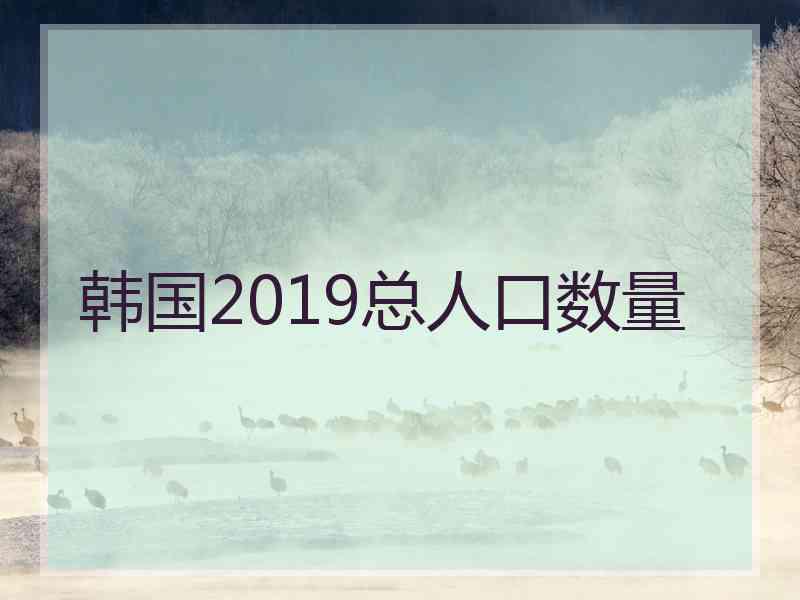 韩国2019总人口数量