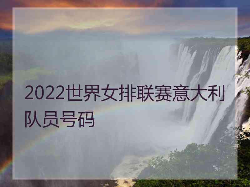 2022世界女排联赛意大利队员号码