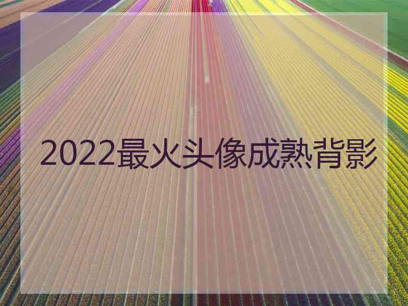 2022最火头像成熟背影