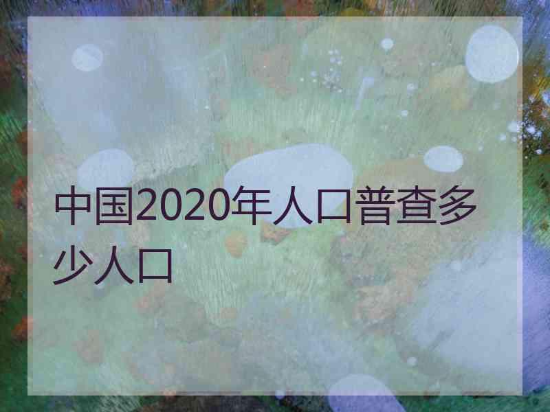 中国2020年人口普查多少人口