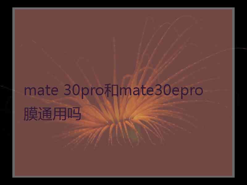 mate 30pro和mate30epro膜通用吗