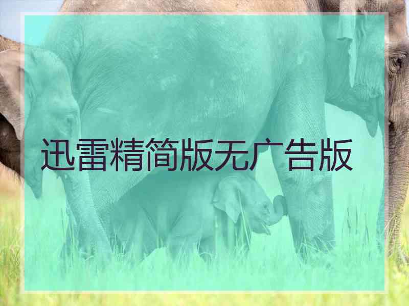 迅雷精简版无广告版