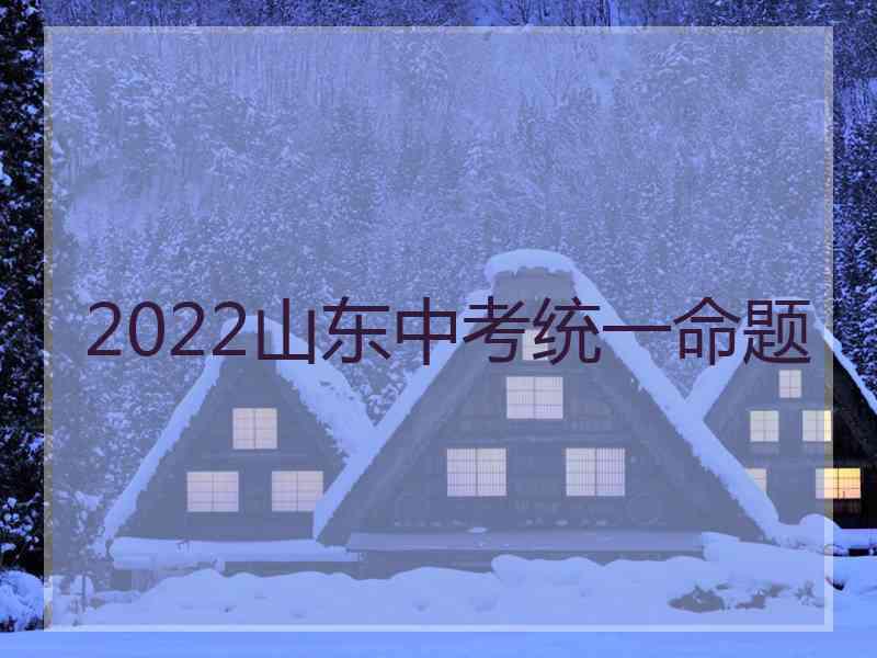 2022山东中考统一命题