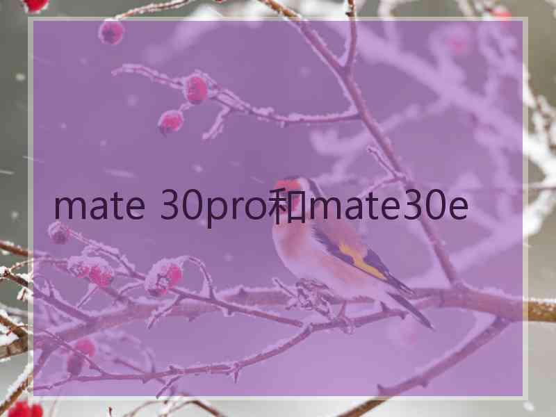 mate 30pro和mate30e