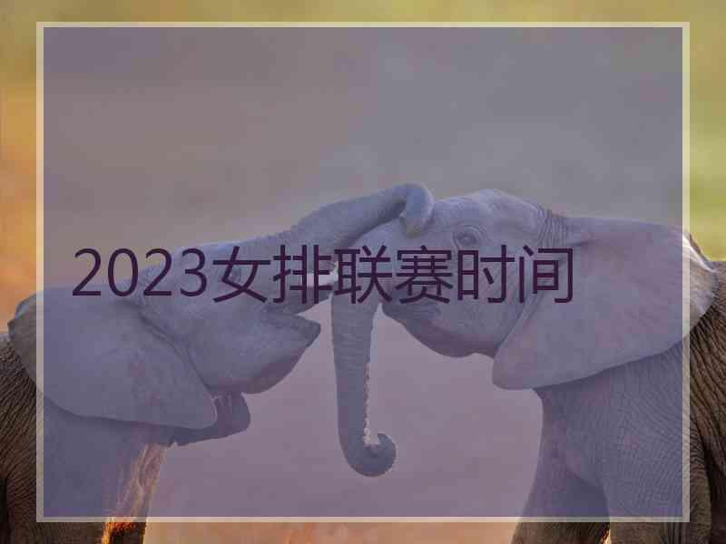 2023女排联赛时间