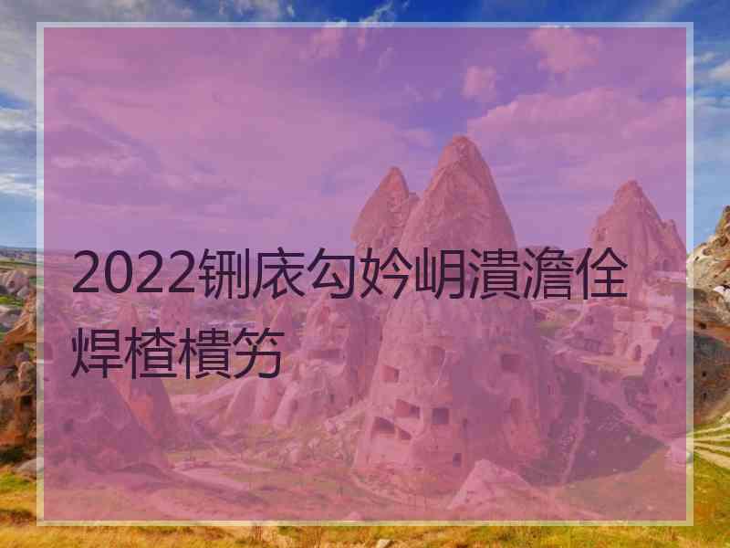 2022铏庡勾妗岄潰澹佺焊楂樻竻