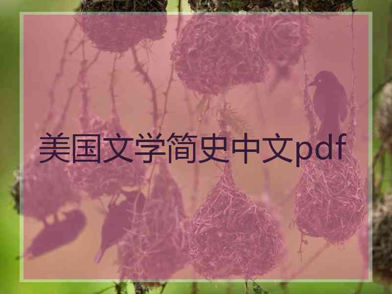 美国文学简史中文pdf