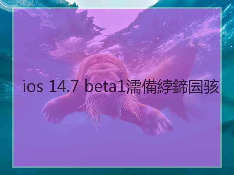 ios 14.7 beta1濡備綍鍗囩骇