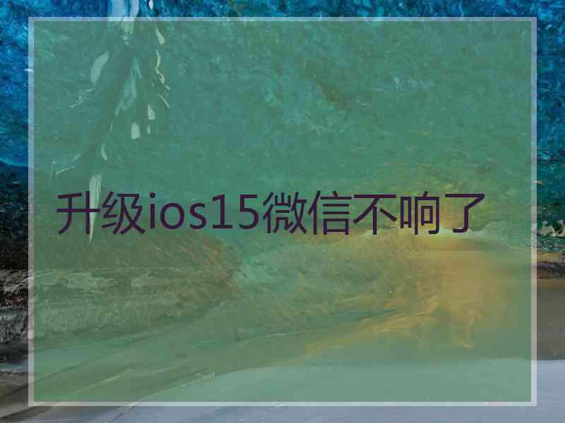 升级ios15微信不响了