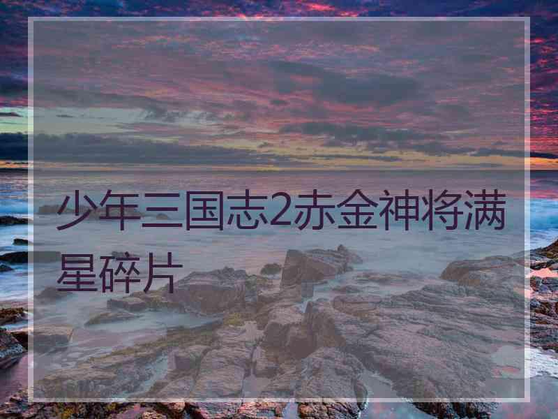少年三国志2赤金神将满星碎片