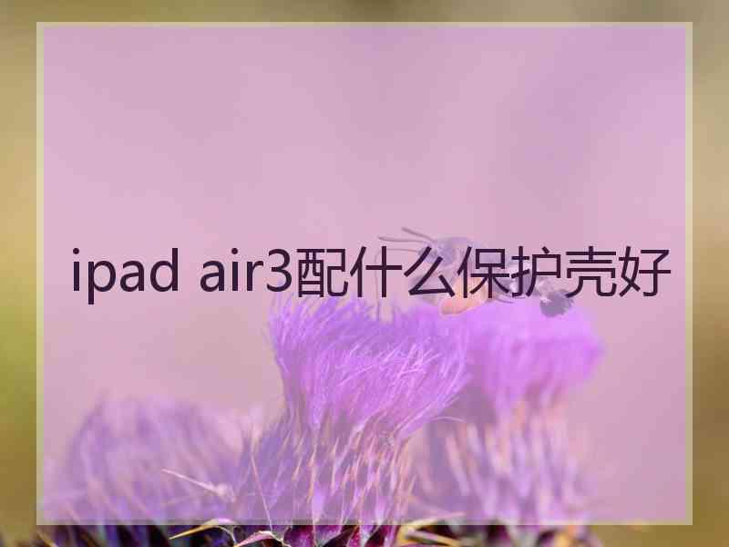 ipad air3配什么保护壳好