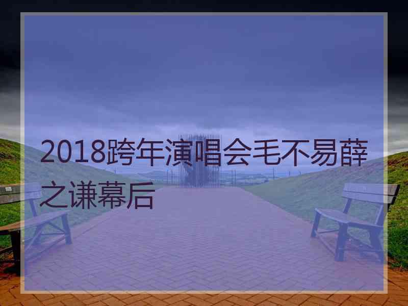 2018跨年演唱会毛不易薛之谦幕后