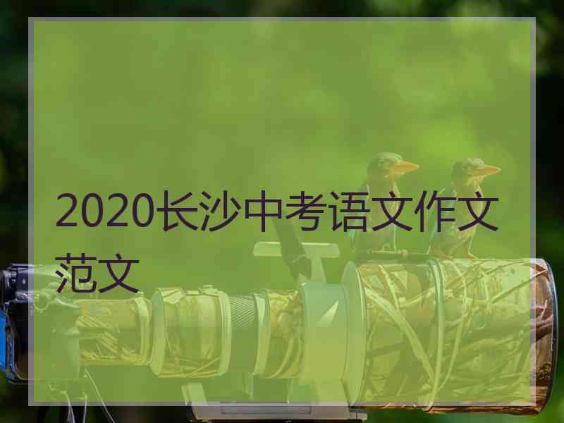 2020长沙中考语文作文范文