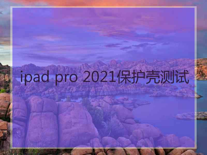 ipad pro 2021保护壳测试