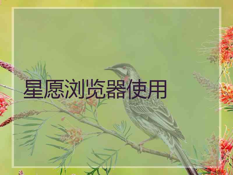 星愿浏览器使用