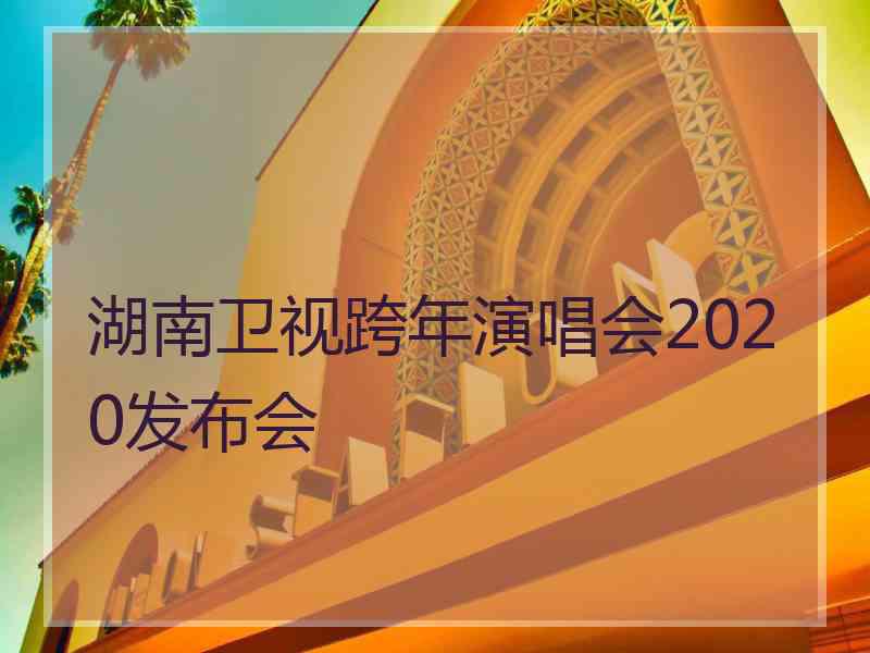 湖南卫视跨年演唱会2020发布会