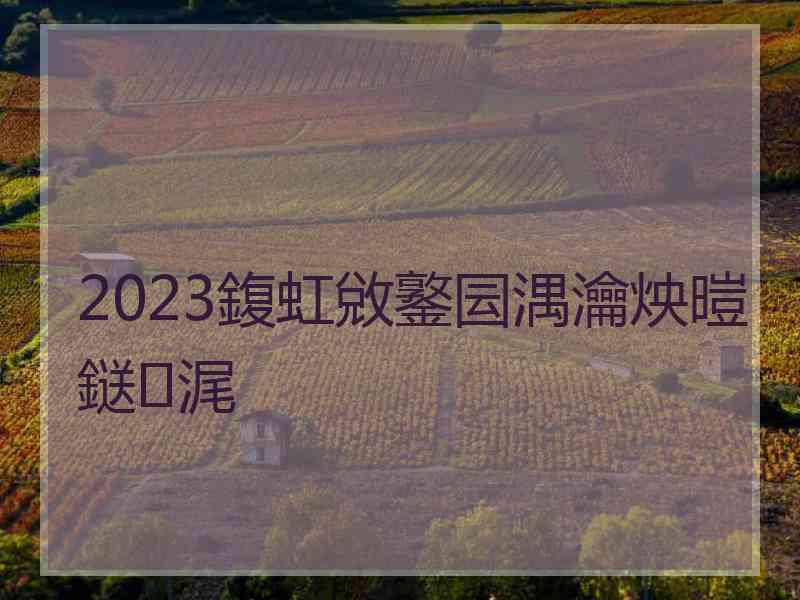 2023鍑虹敓鐜囩湡瀹炴暟鎹浘