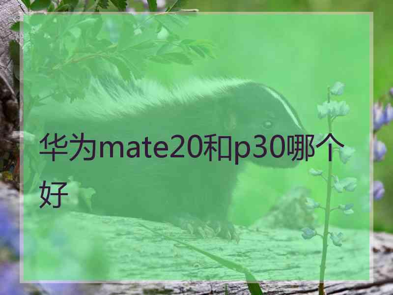 华为mate20和p30哪个好