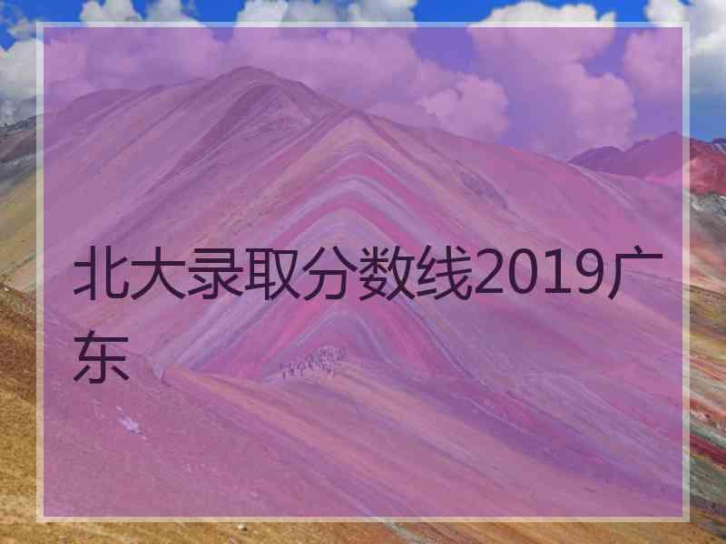 北大录取分数线2019广东