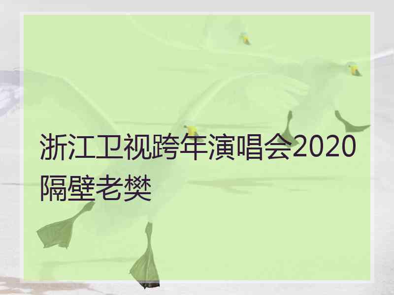 浙江卫视跨年演唱会2020隔壁老樊