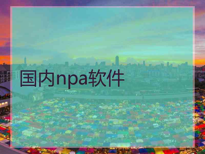 国内npa软件